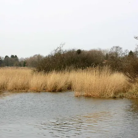 Haus Sonne - Storchennest צינוביץ